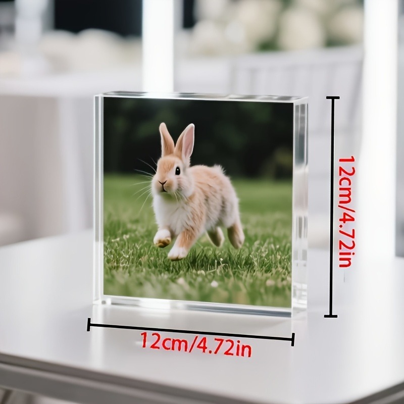 1PC Custom Photo   Acrylic Per - Photo Acrylic Block recension och pris